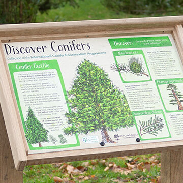 Outdoor interpretation design cheshire