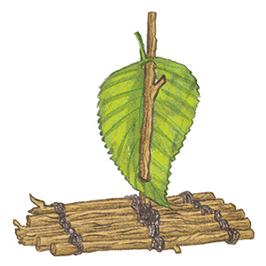 Leaf and stick boat illustration